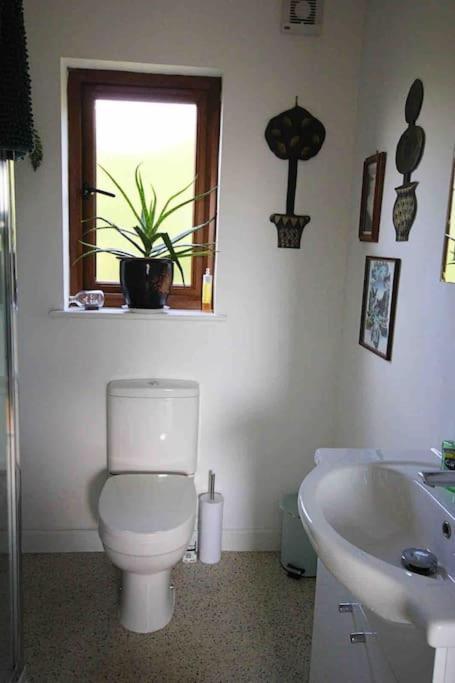 Spacious Cabin On Isolated Farm With Sea View Bude Eksteriør bilde